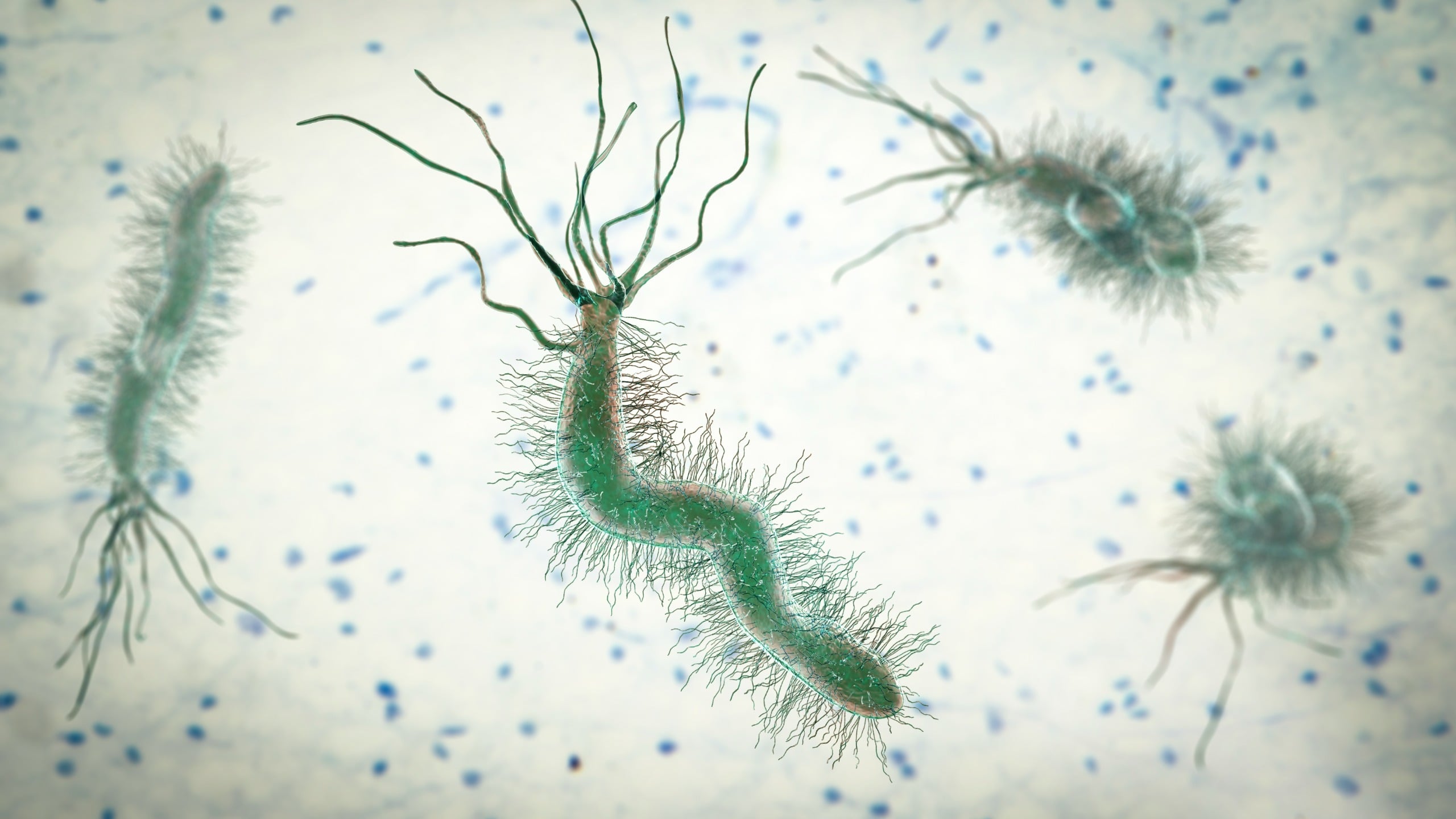Just 5 infections responsible for more than 2 million new cancer cases ...