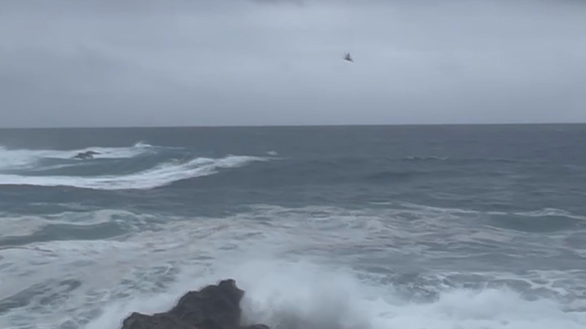 Four swimmers airlifted to safety from rough waters off Hawaii Island