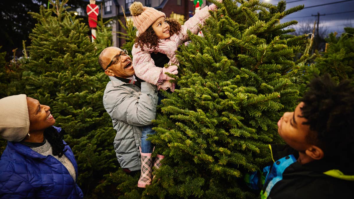 The 2026 Christmas tree forecast is here—will you pay more for your spruce?