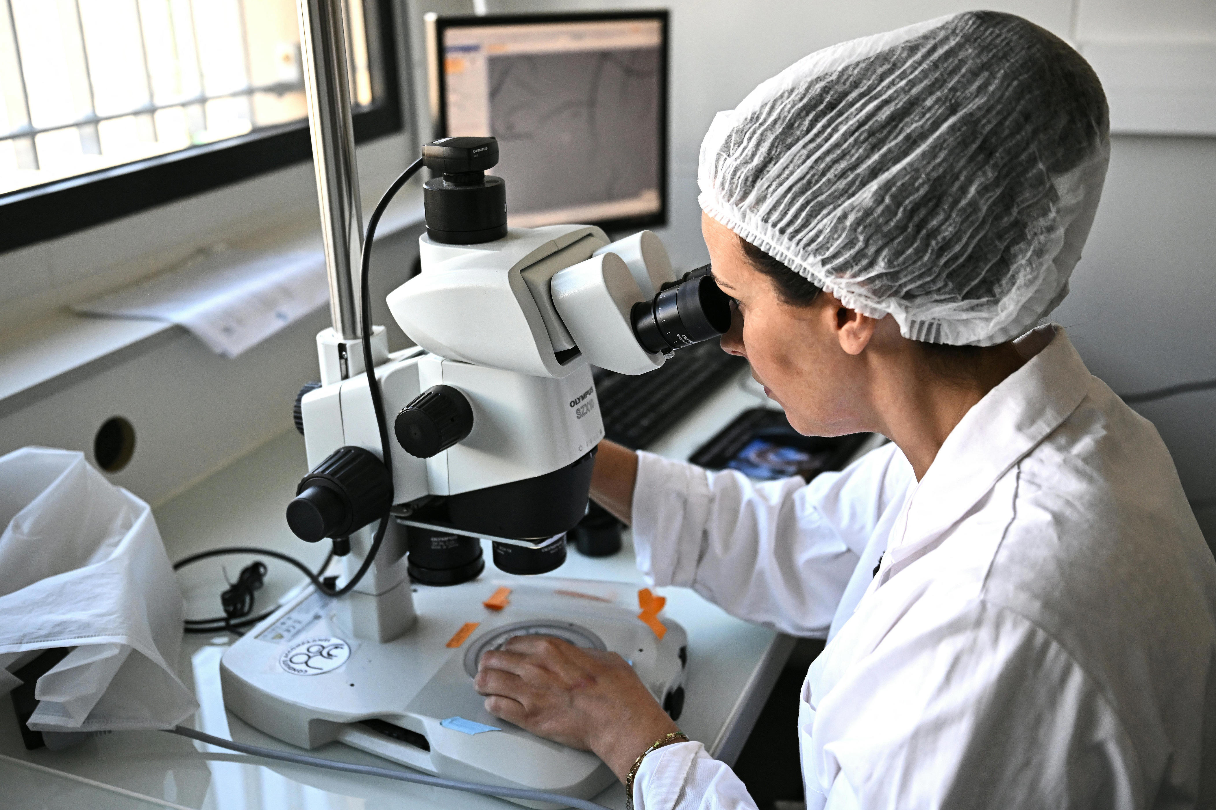 Experimental drug reverses MS damage in mice