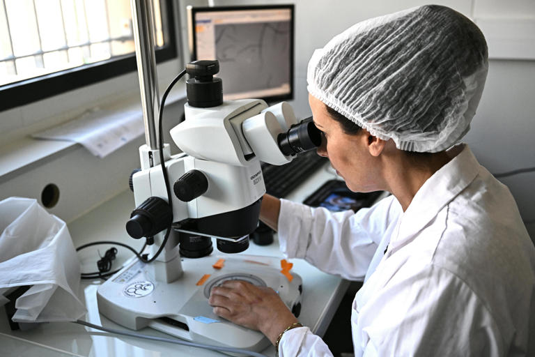 Experimental drug reverses MS damage in mice