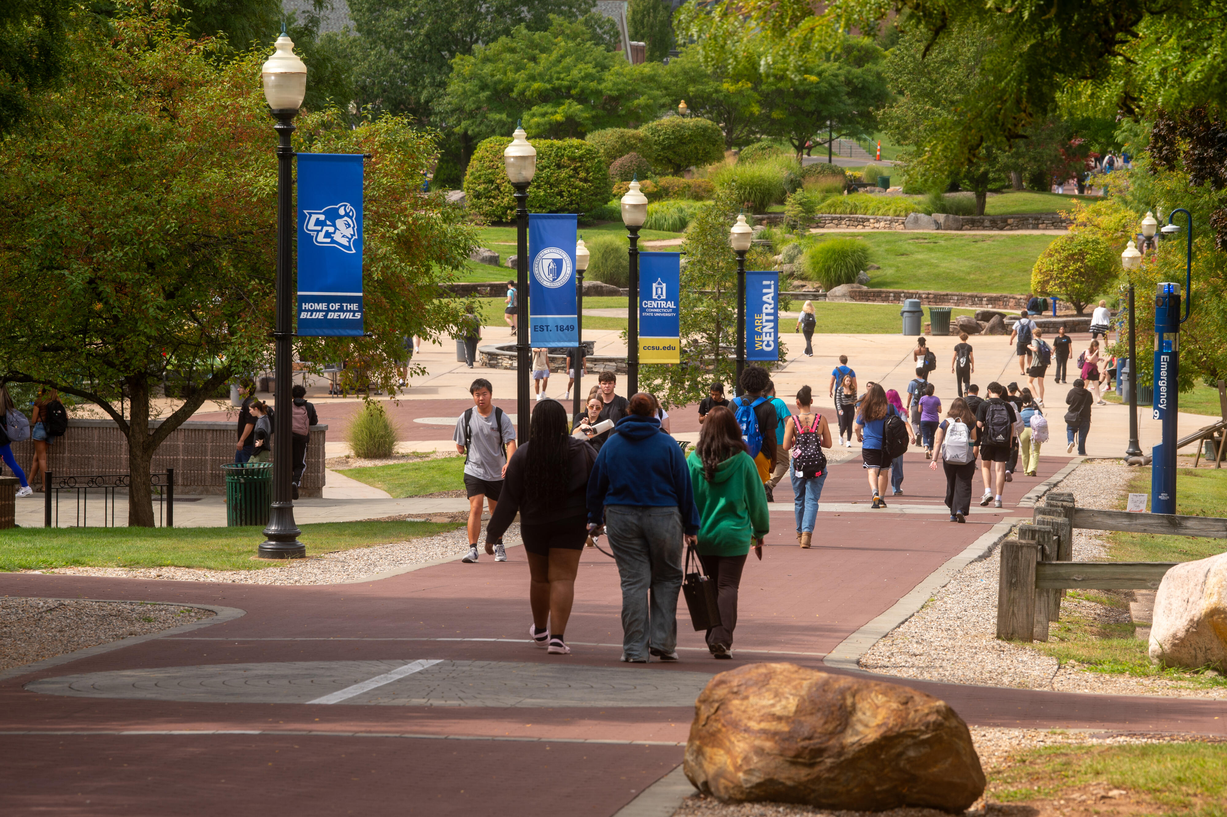 Another member of CT college leadership resigns, citing insurmountable ...