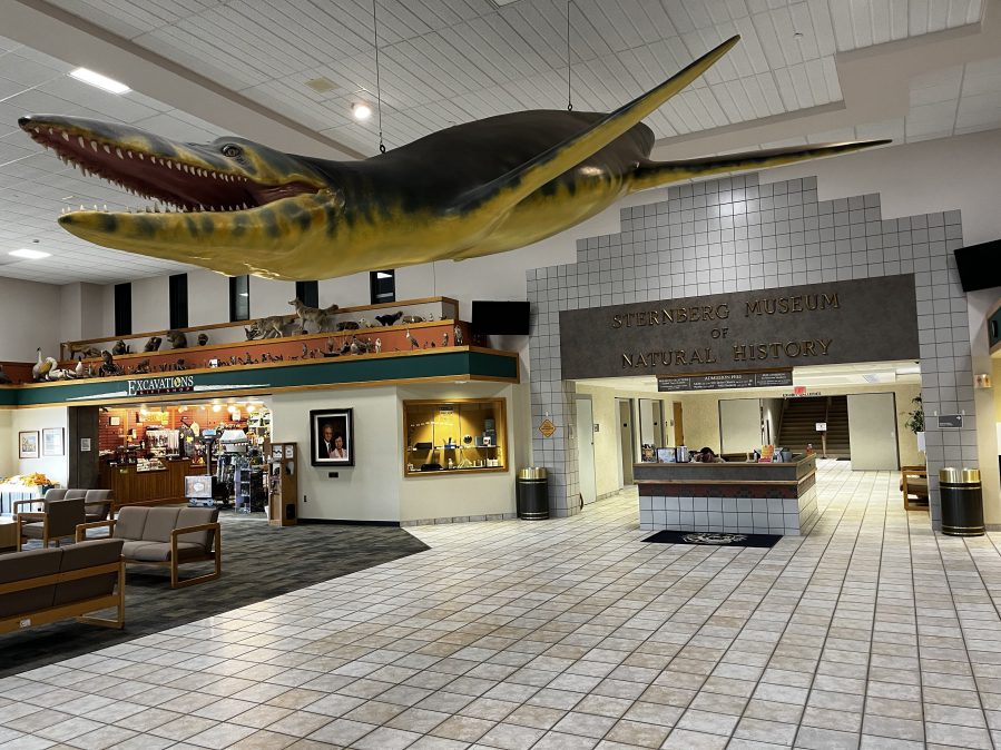 Fort Hays State says changes are needed to keep the Sternberg open long ...