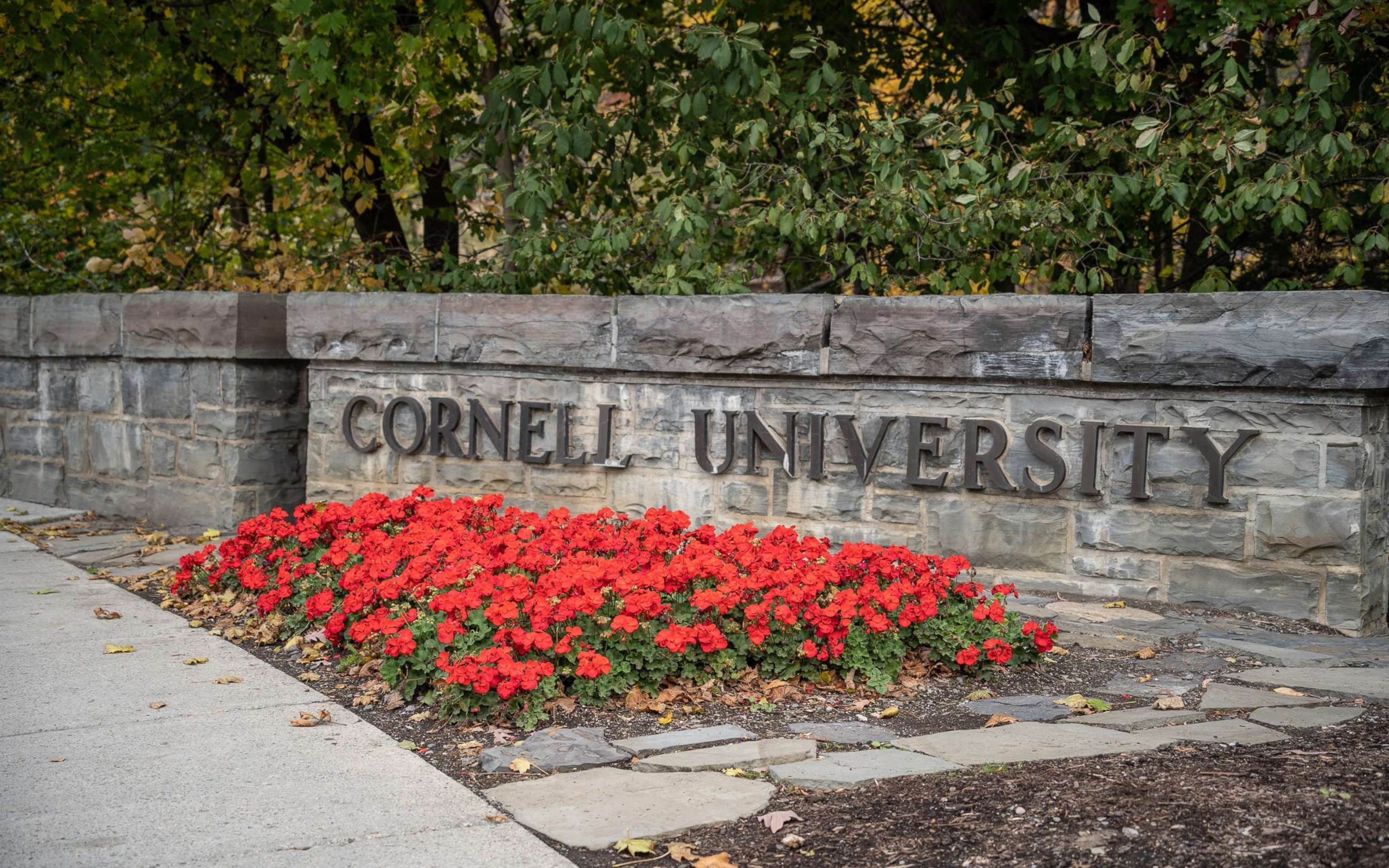 DA's office declined to review additional material on Cornell gang rape probe: Docs