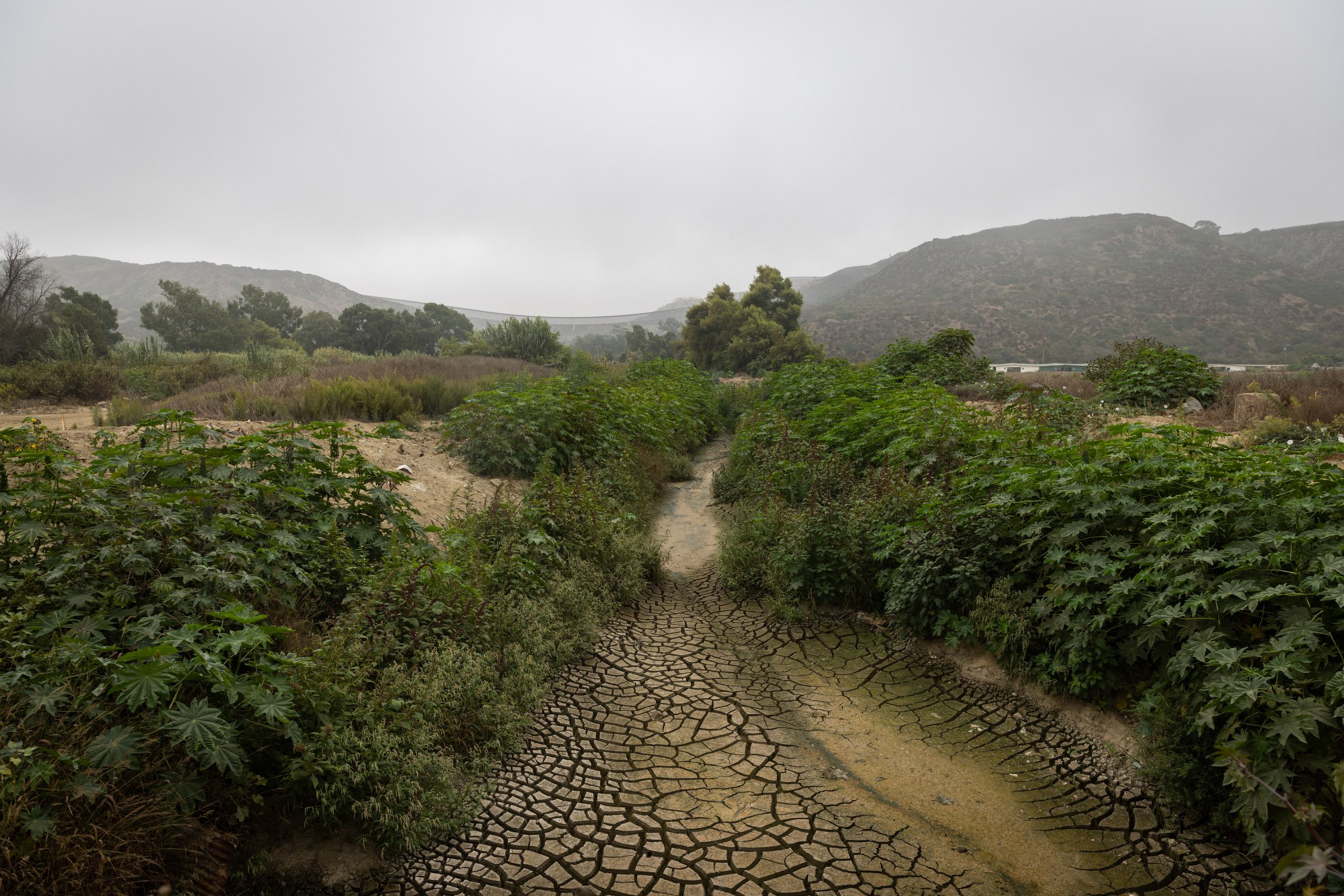 Newsom signs bills targeting hydrogen sulfide, worker safety in Tijuana ...