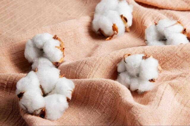 The best organic cotton underwear: 12 brands compared on price, fabric ...