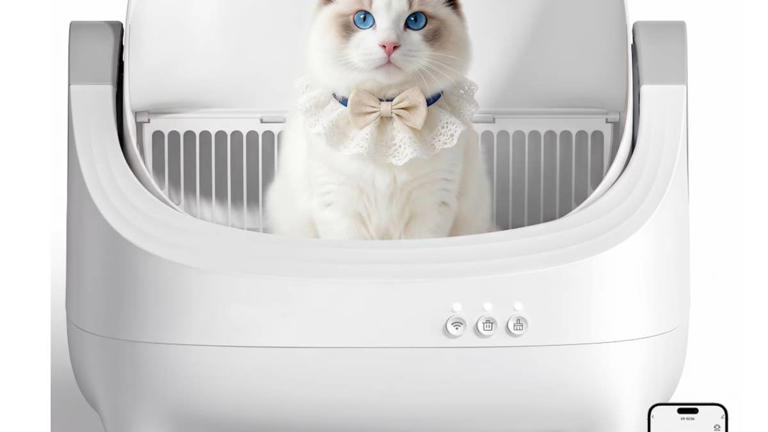 Walmart’s self-cleaning cat litter box is on sale for $190 off