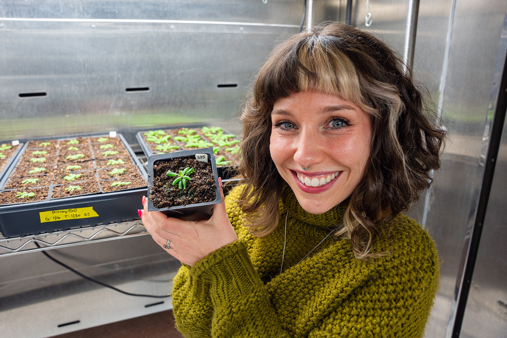 Scientists find a way to boost plant growth without sacrificing immunity