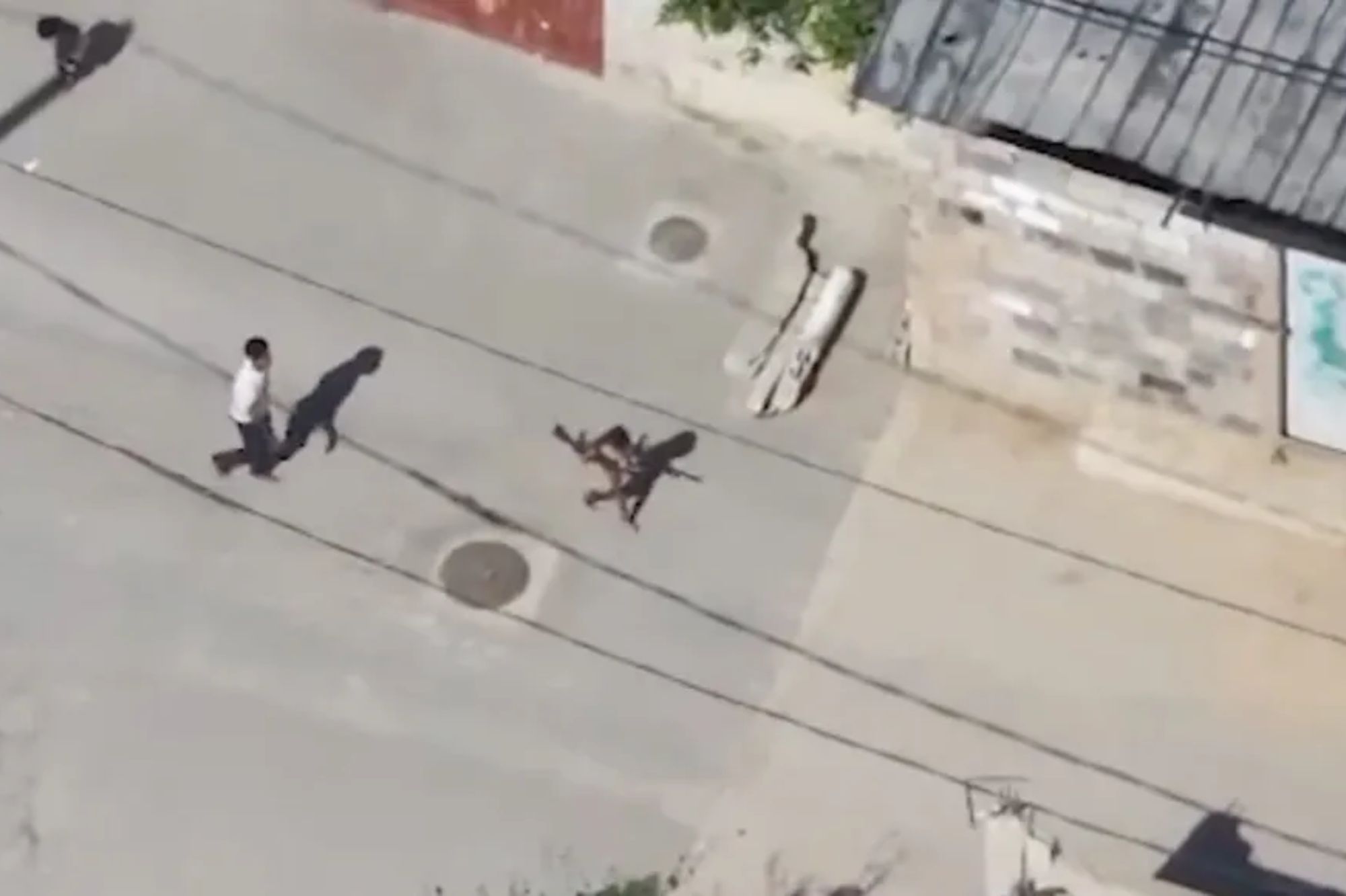 Grim video shows Hamas using child as human shield to carry weapons ...