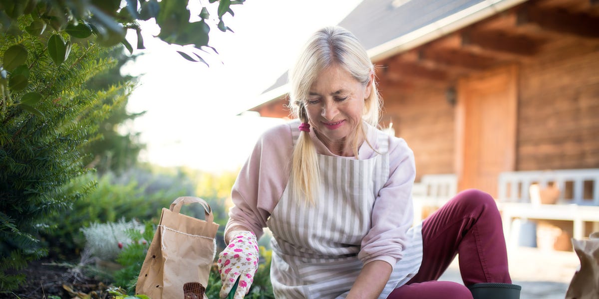 11 vegetables and flowers to plant in October, according to experts