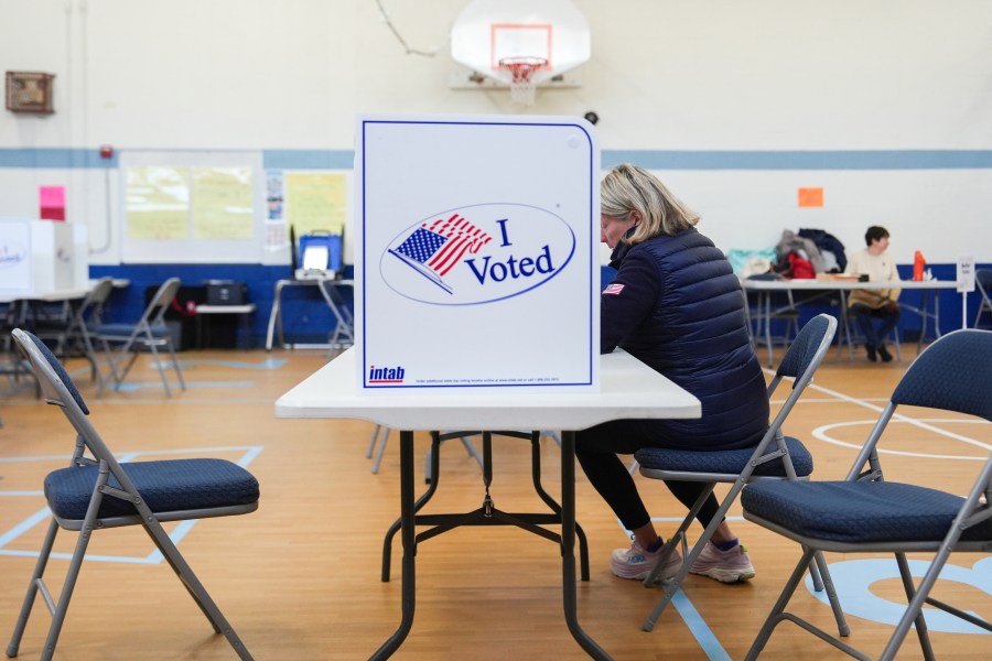 Breaking down Virginia’s early voting data