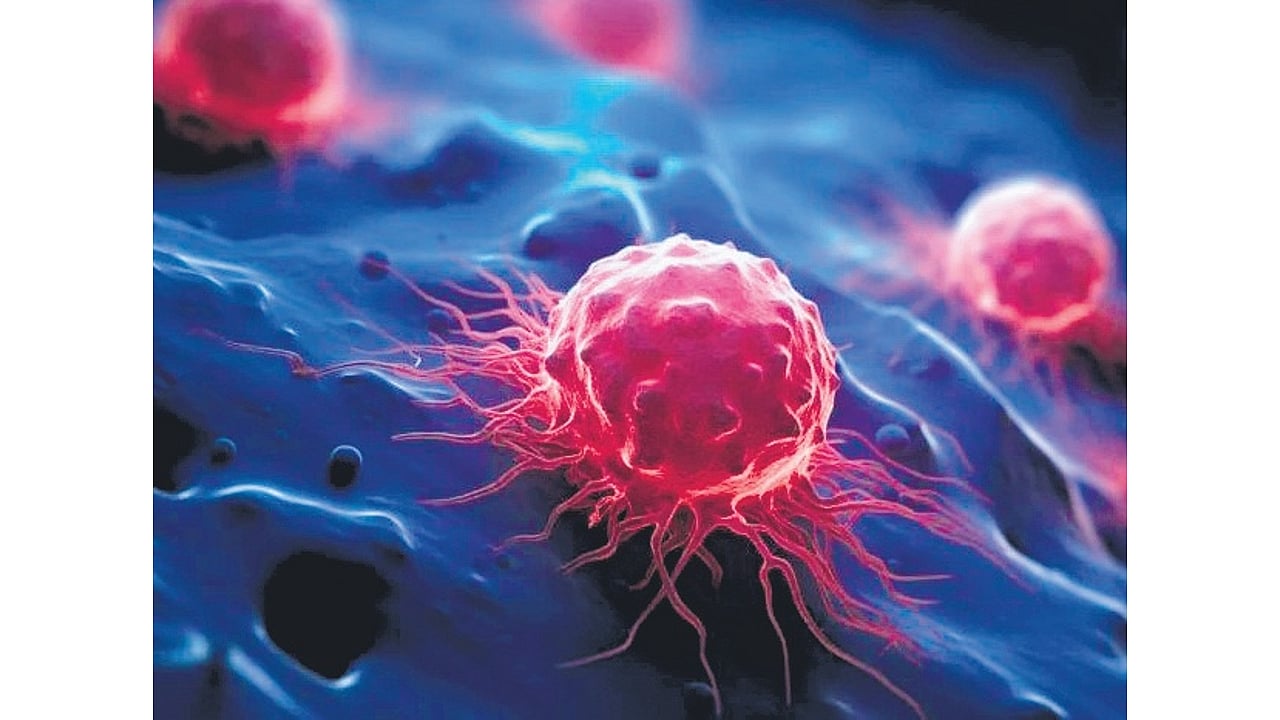 New nanocarbon compound shows promising anti-cancer activity