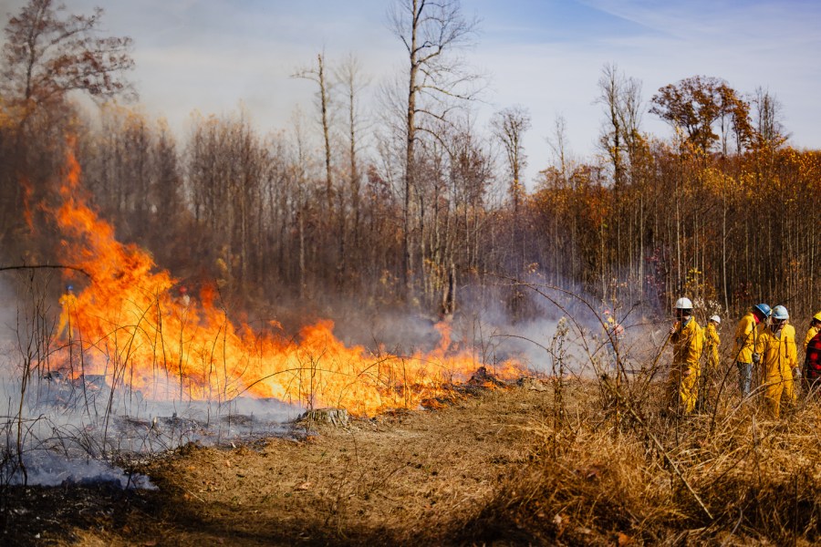 Fall fire bans begin across the tri-state this week