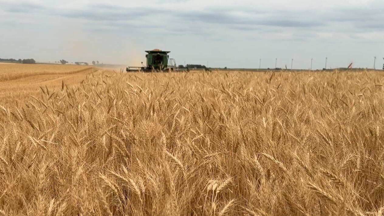 Iowa farmers behind on harvest as wet September comes to close