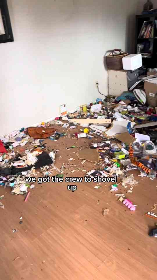 Hoarding home transformation before and after