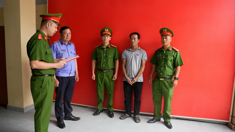 Phá đường dây bắt trộm, tiêu thụ hơn 2.700 con mèo gây bức xúc