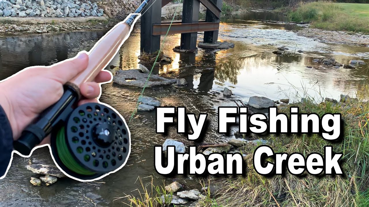 Fly fishing urban creeks in Fort Worth, Texas