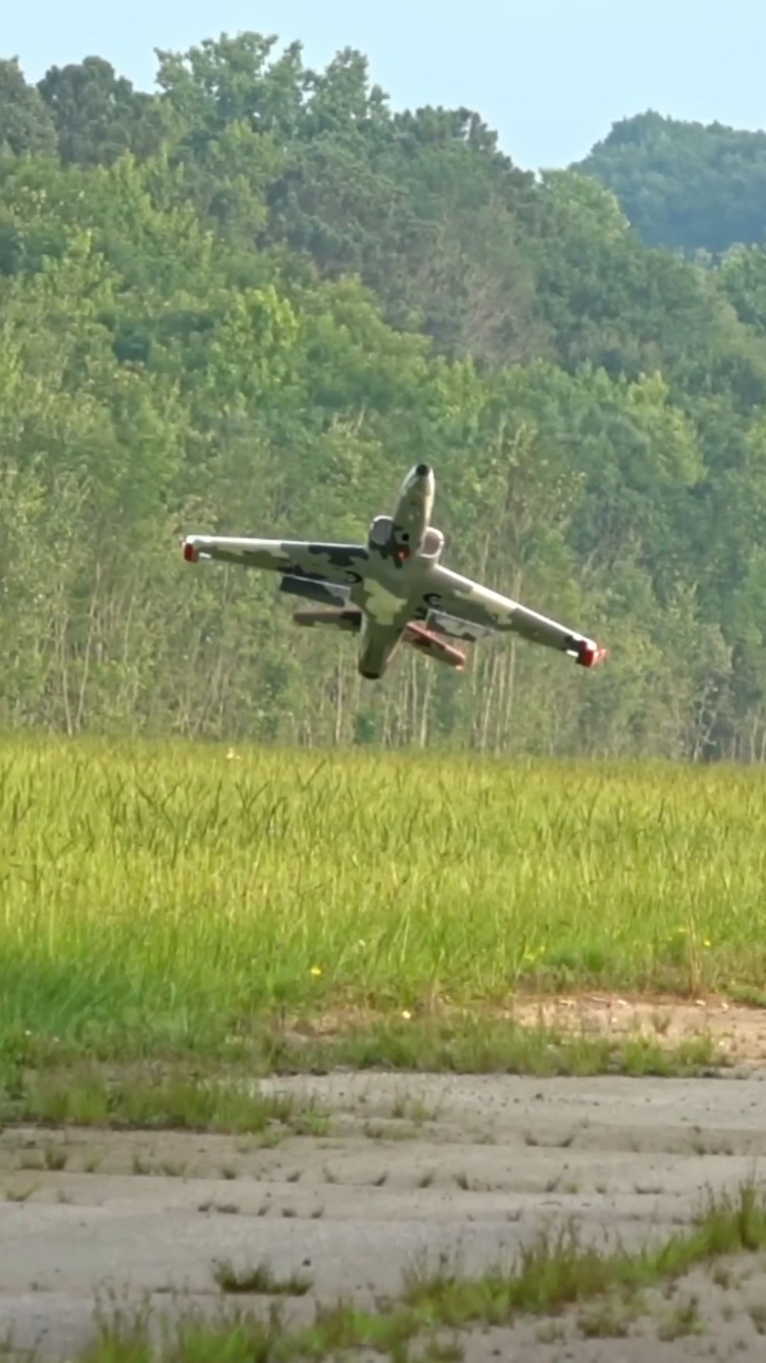 ViperJet RC plane shows impressive high alpha control