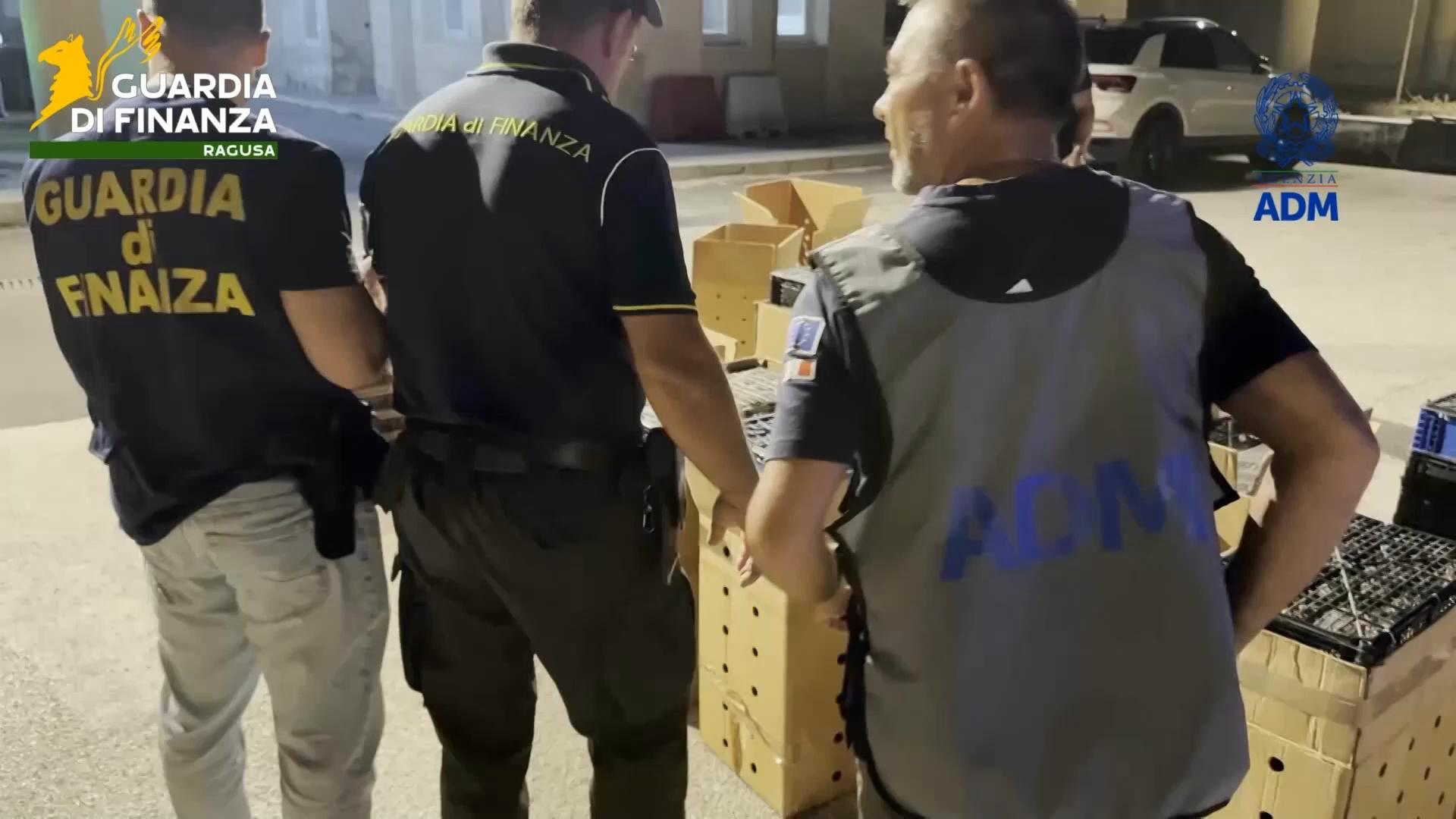 Colourful parrots seized in Italy from Malta-bound car