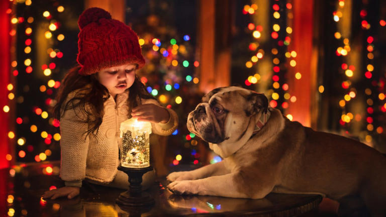 6 adorable photos that capture a girl’s bond with her dog
