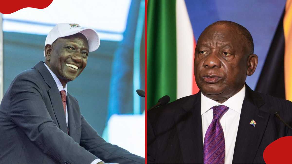 Kenyans on X roast South Africans in viral online showdown, hilarious ...