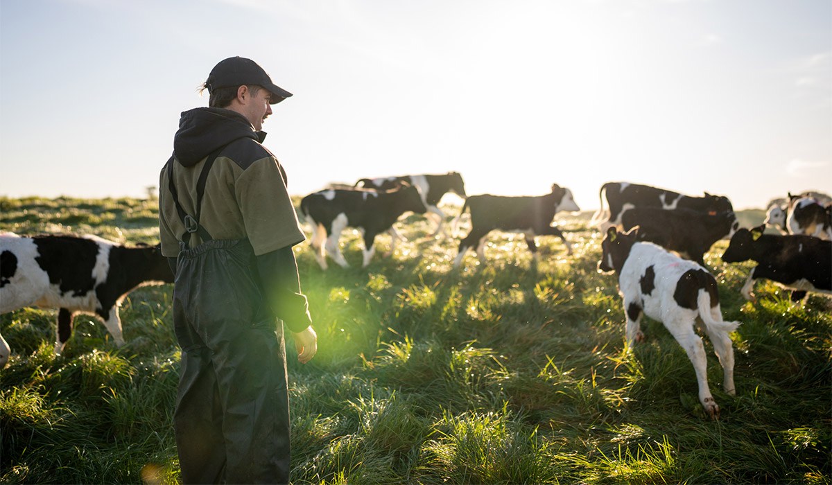 Tragic number of deaths on Irish farms over past decade revealed