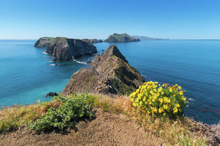 After a devastating fire, Channel Islands National Park braces for El Niño
