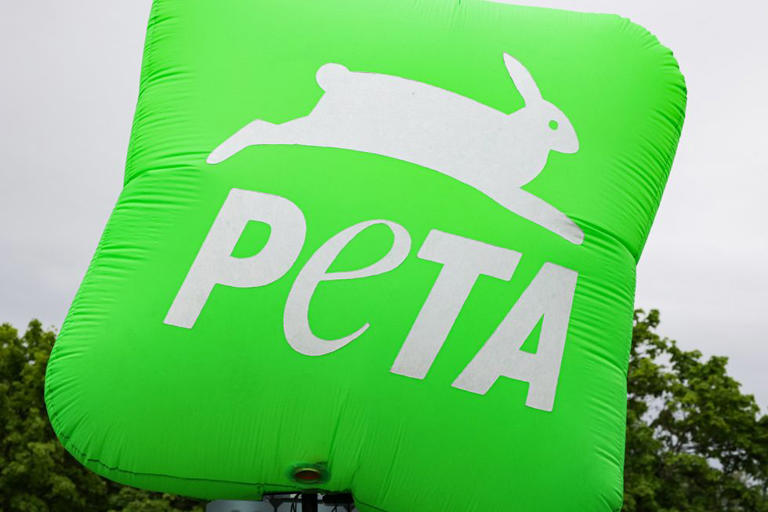 Animal rights group faces review after targeting William and Catherine
