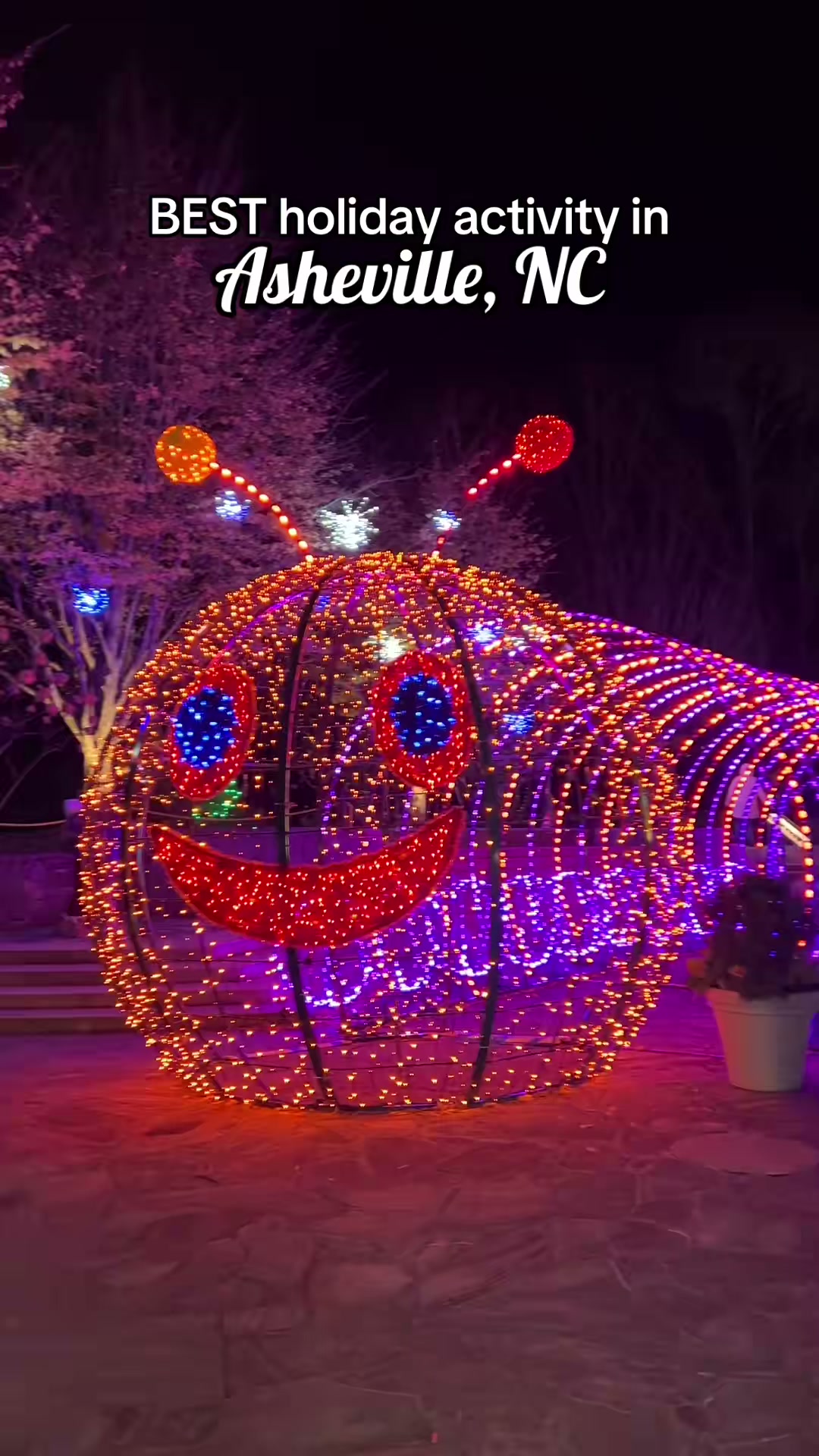 The Asheville holiday experience worth adding to your list