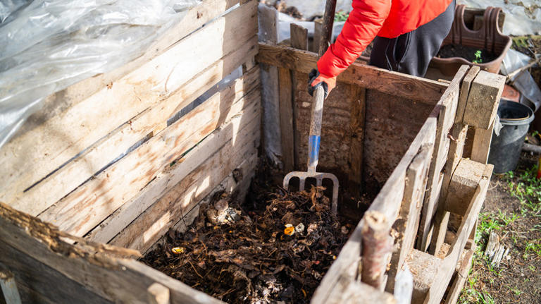 Why you should be adding leftover beer to your compost