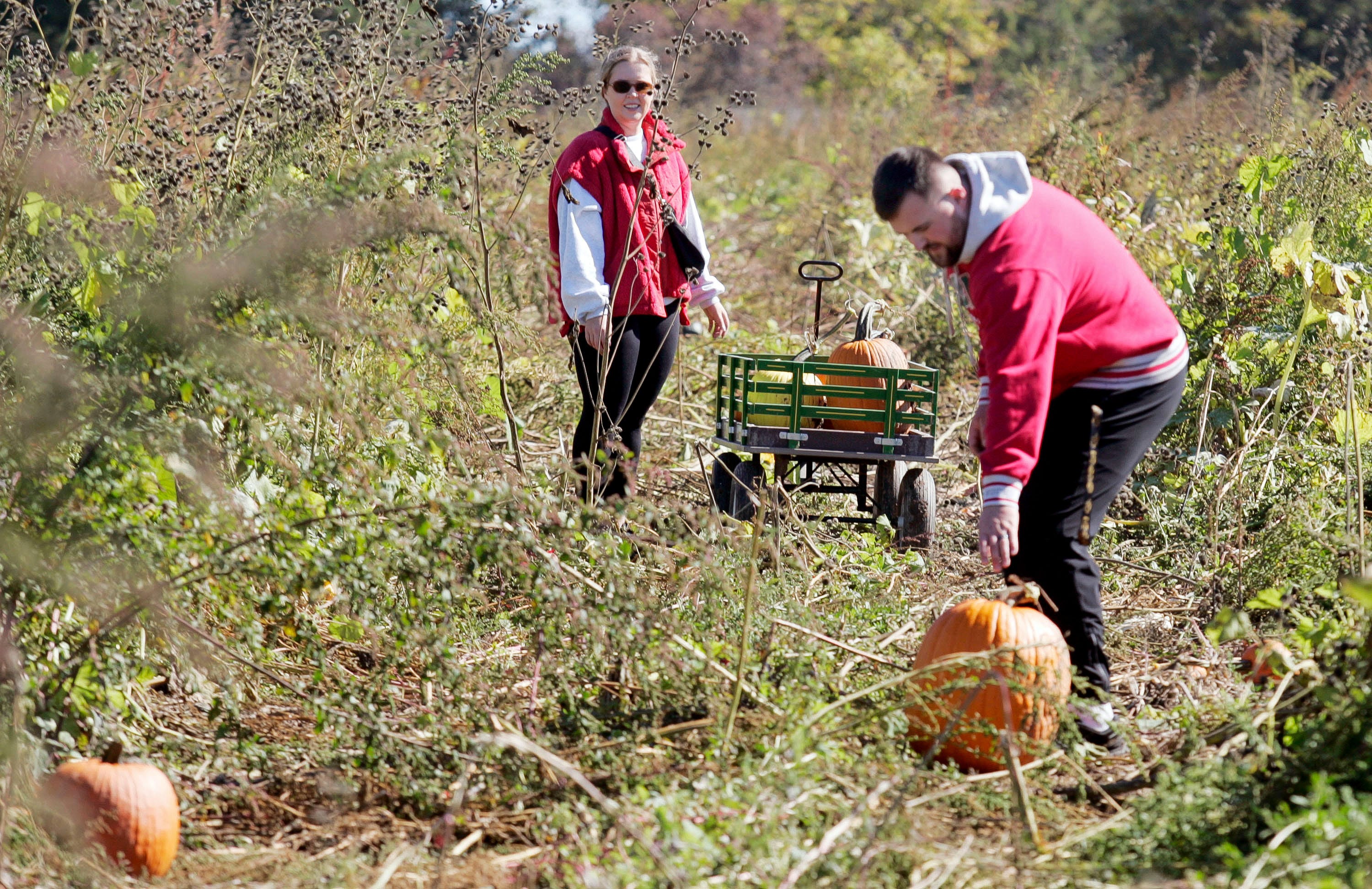 Sheboygan-area fall bucket list includes a glow hike, plein air art