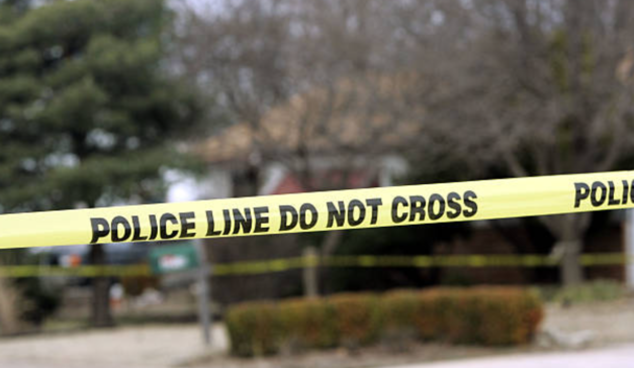 Woman, 20, kills grandfather with cricket bat; alleges past harassment