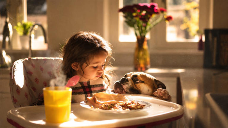 6 adorable photos that capture a girl’s bond with her dog