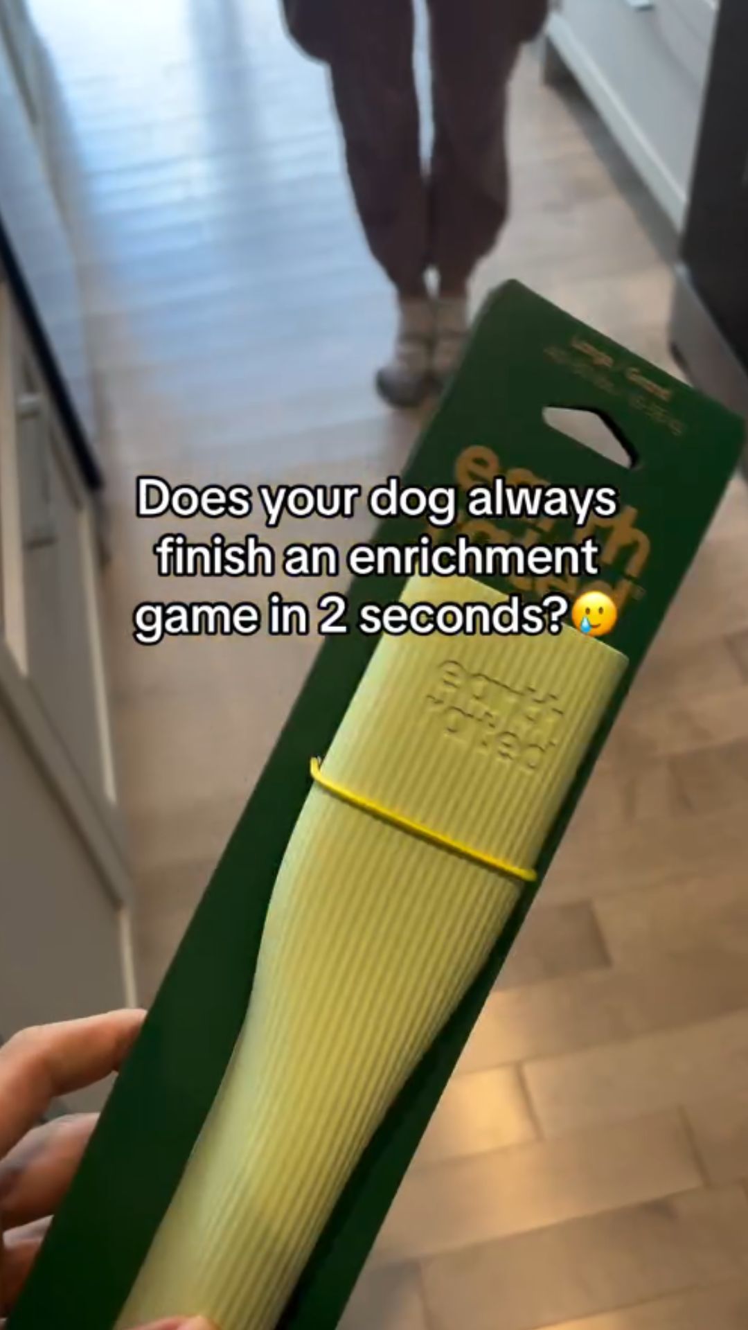 Dog enrichment ideas for pets that destroy their toys