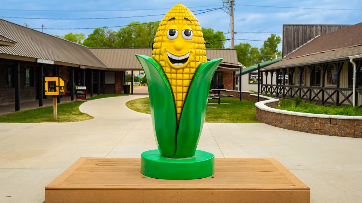 In 1892, Mitchell, South Dakota, built its first Corn Palace; the city ...