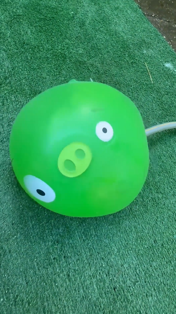 The strange transformations of water filled inflatable toys