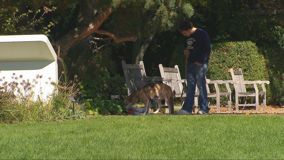 'Dog Days' kick off at Green Bay Botanical Garden