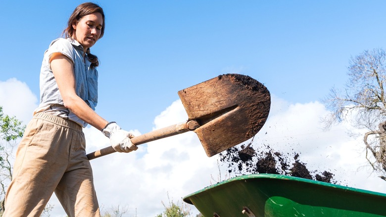 Save yourself from shoveling: The European, easy-to-use tool for ...