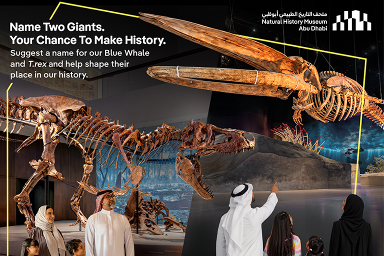9 fun things to do this week in Abu Dhabi: October 5 to 8