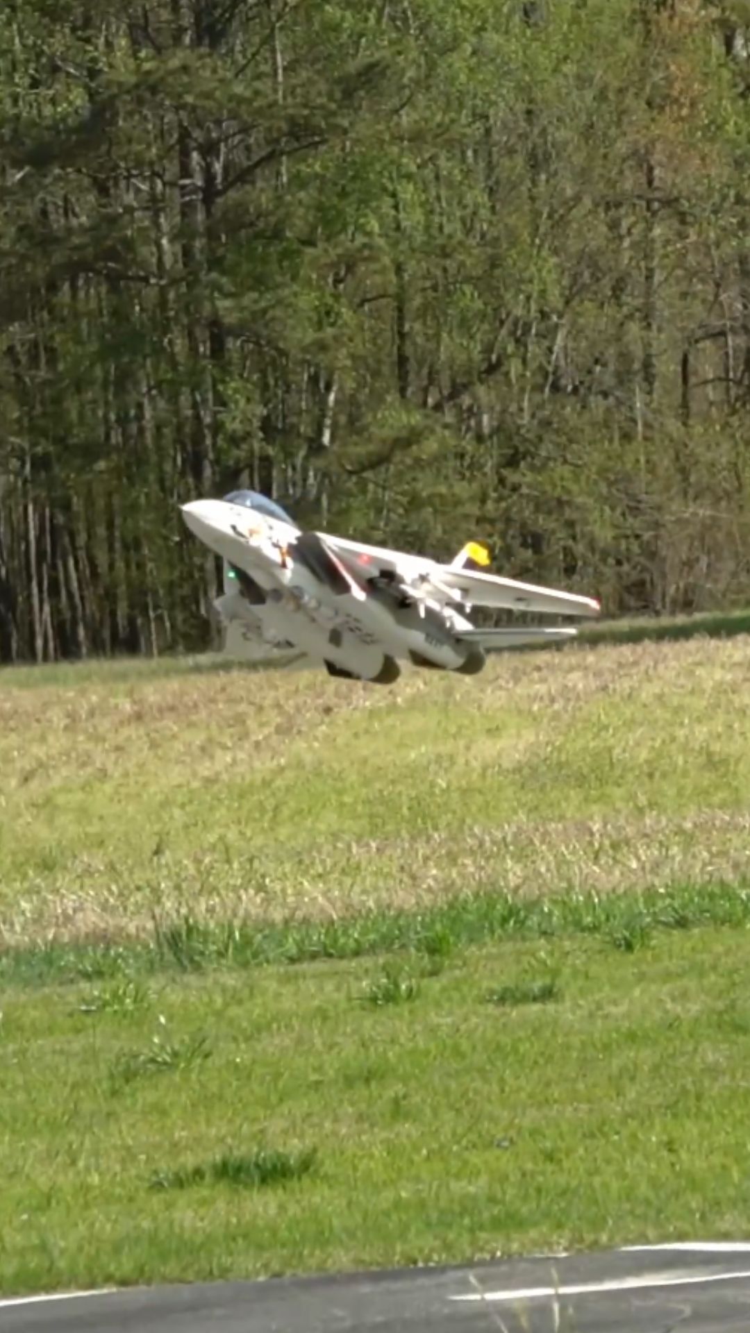 F-14A Tomcat RC jet shows off a high alpha pass
