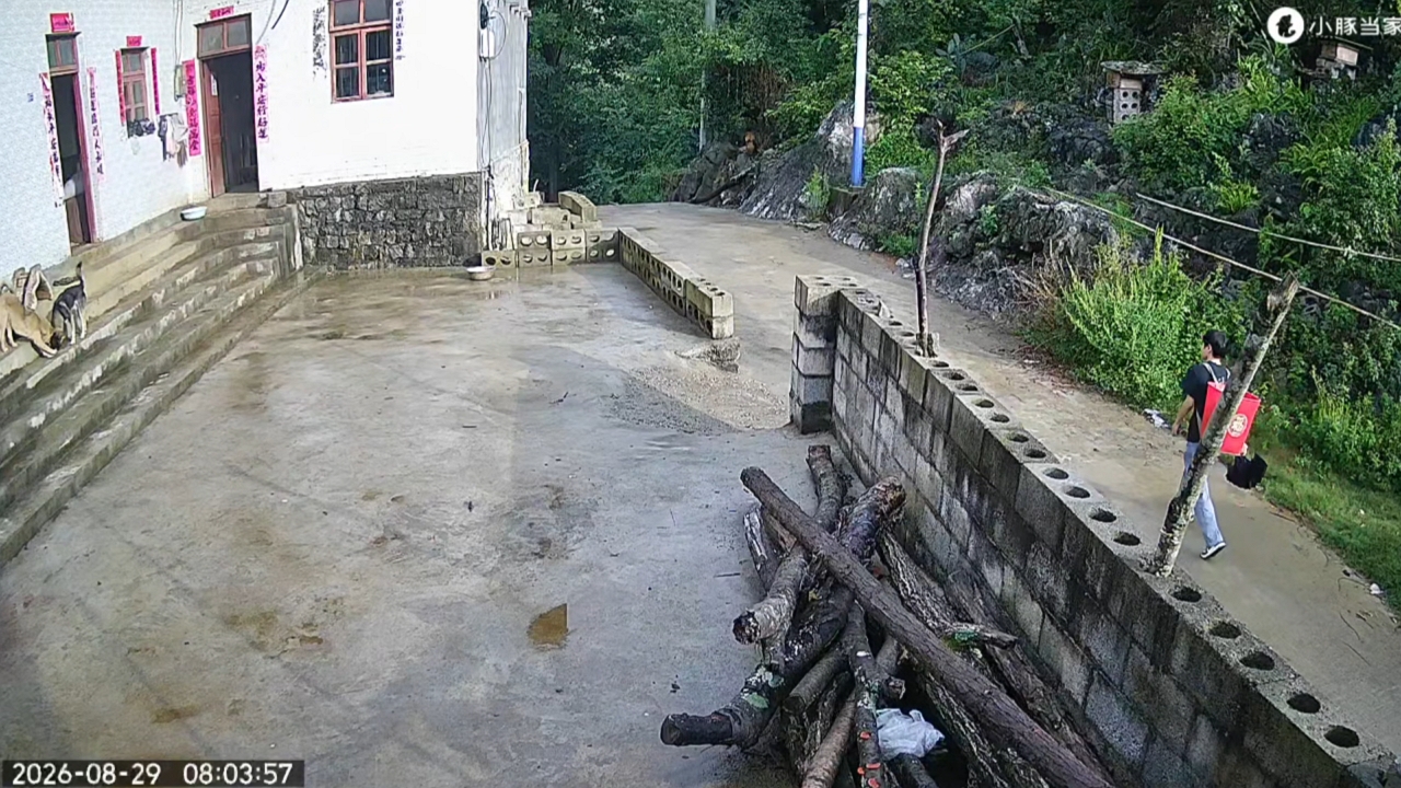 Man runs downhill as two dogs chase him in Zhejiang