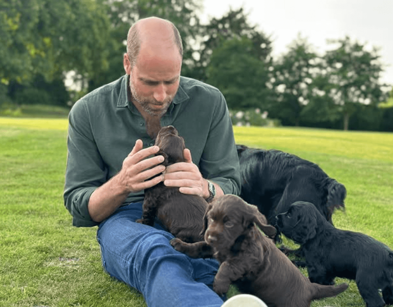 Animal rights group faces review after targeting William and Catherine