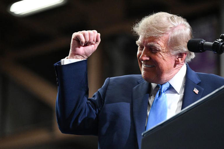 'Narcissist' Trump faces 25th amendment calls as he says 'I know more ...