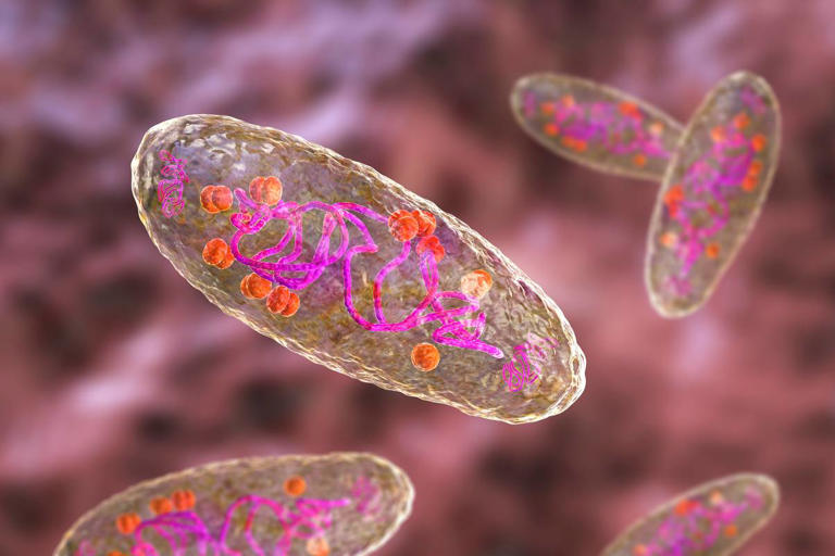 Russian lab worker who died of pneumonia had reportedly been working ...