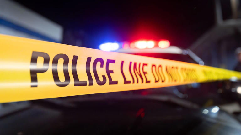 Georgia officials hunt for suspect in shooting that killed two and ...