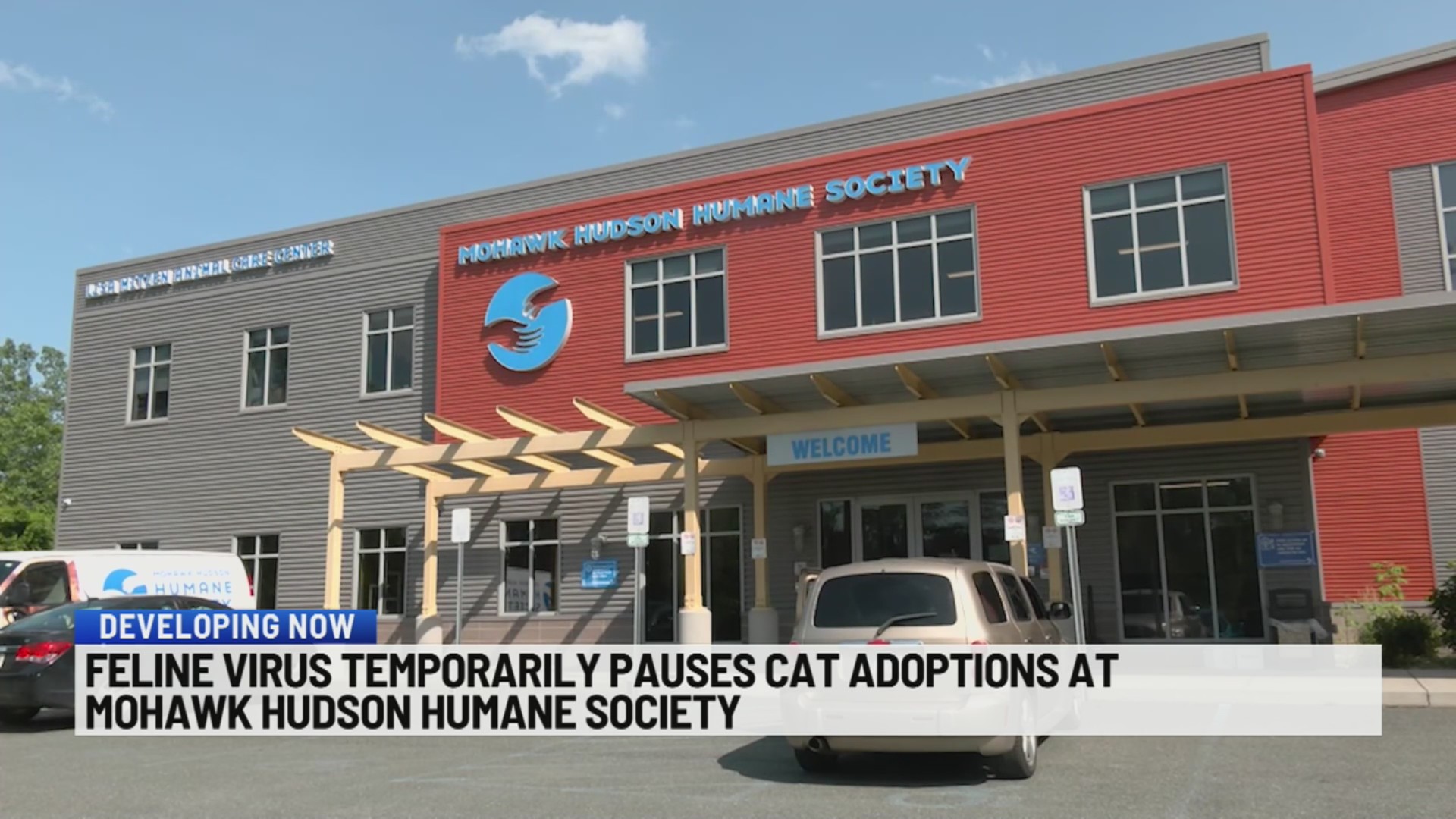 Feline virus temporarily pauses cat adoptions at Mohawk Hudson Humane ...