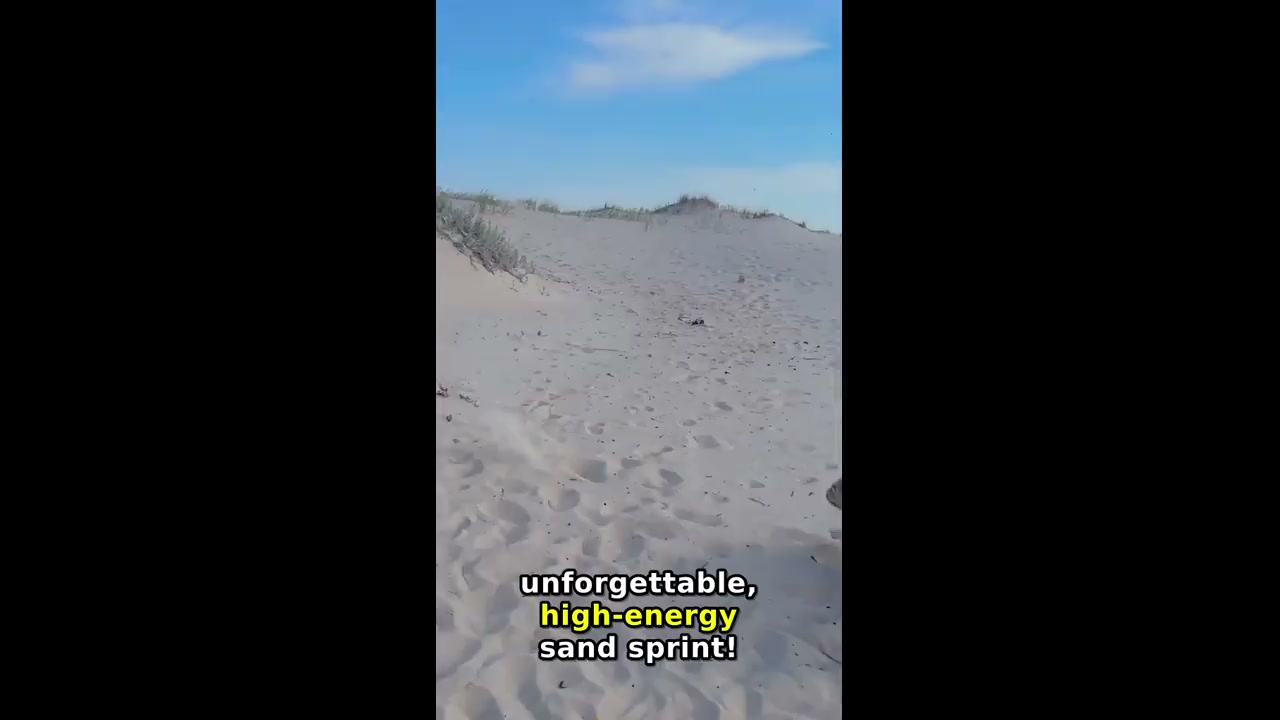 Dog playfully chases sand slider in El Pinar