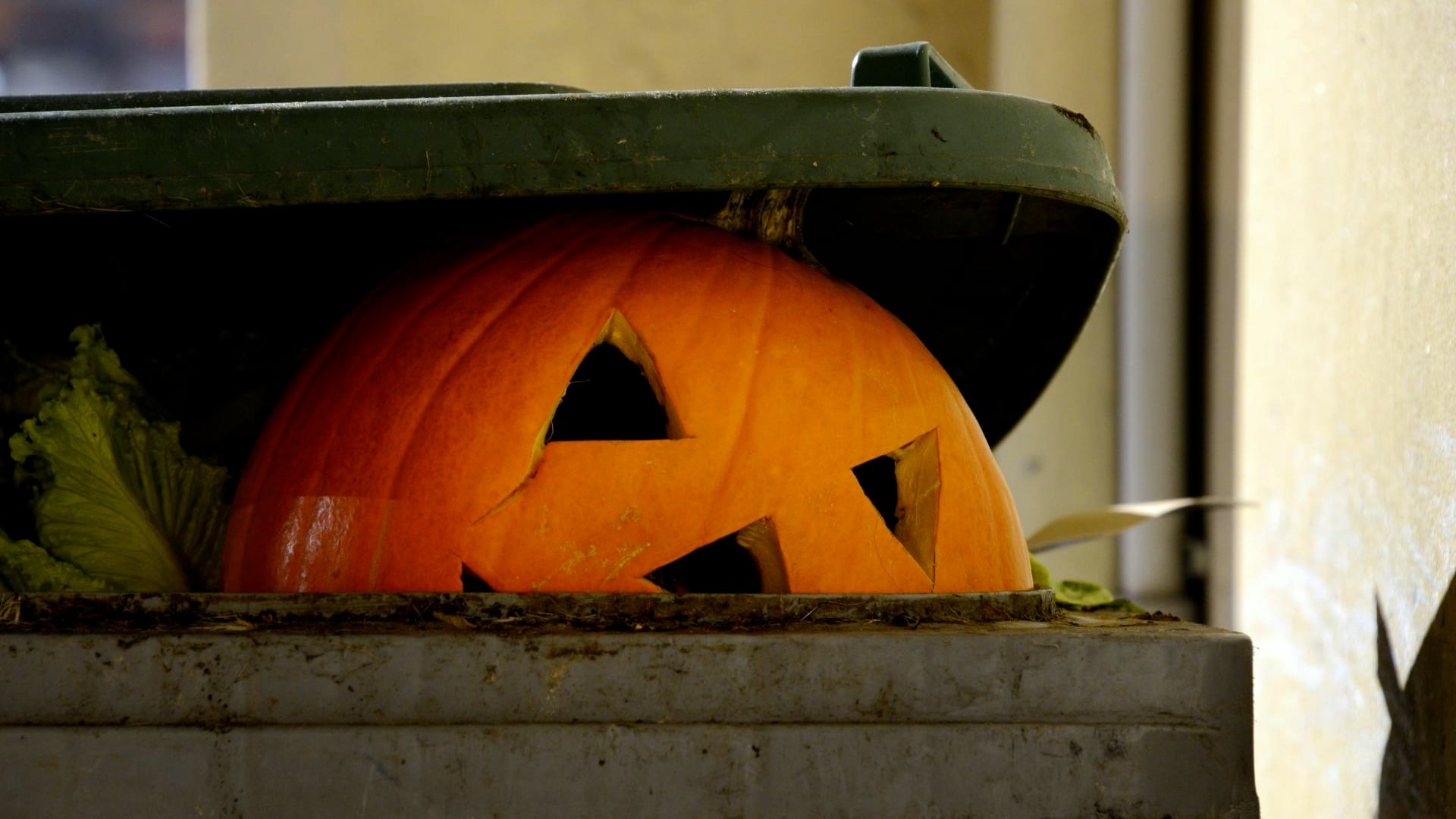 How to reduce waste this Halloween