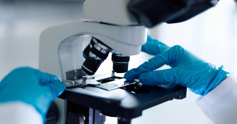 Developing: Russian lab worker dead after breaking virus vial at plague ...
