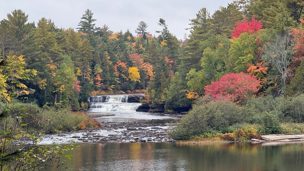Fall colors shine across northern Michigan: See photos from UpNorthLive ...